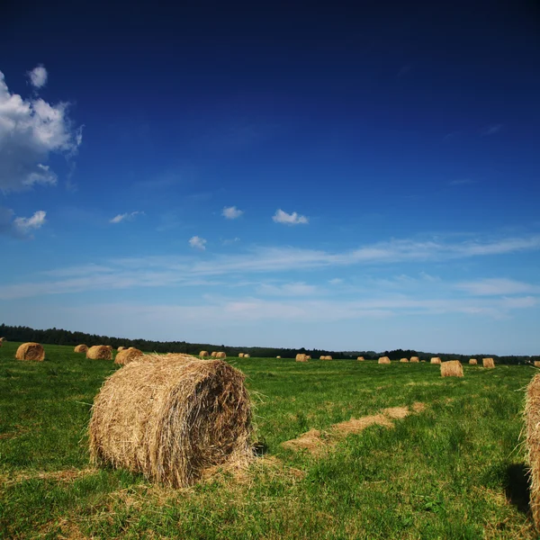 Heno en el campo —  Fotos de Stock