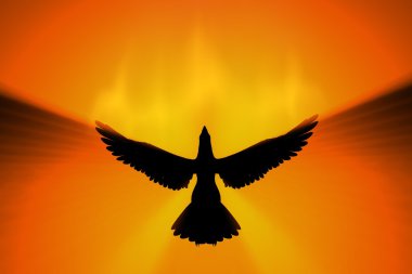 Phoenix rising clipart