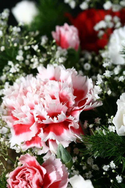 Carnation bouquet — Stock Photo, Image