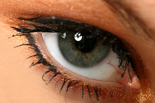 Beauty eye — Stock Photo, Image
