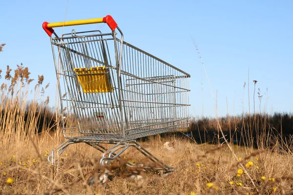 Go shoping cart — Stock Photo, Image