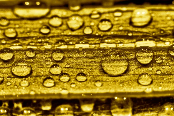 Water gold — Stock Photo, Image