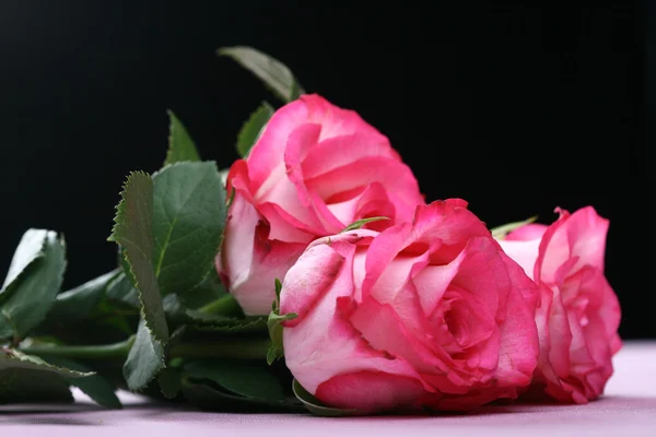 Három rózsaszín rózsa — Stock Fotó