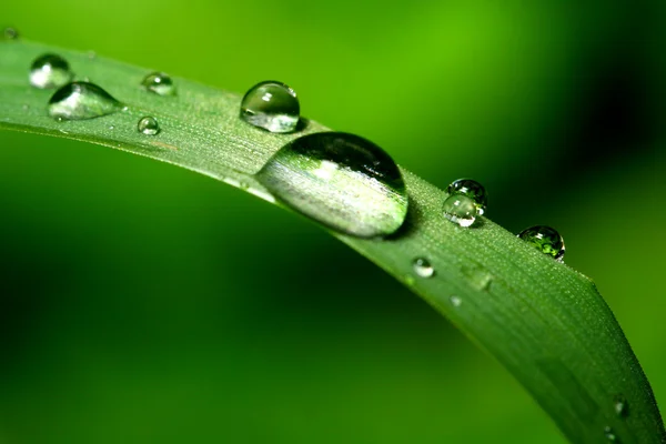 Natural waterdrop — Stock Photo, Image