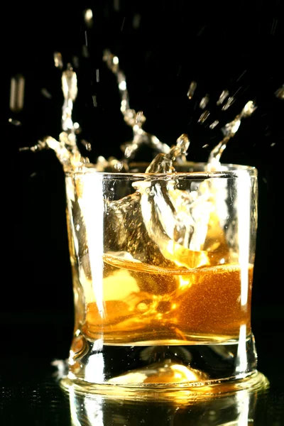 Viski splash — Stok fotoğraf