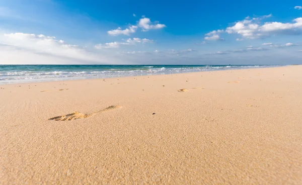 Stock image Sandy beach with lots of footprints and a blue sky with clouds