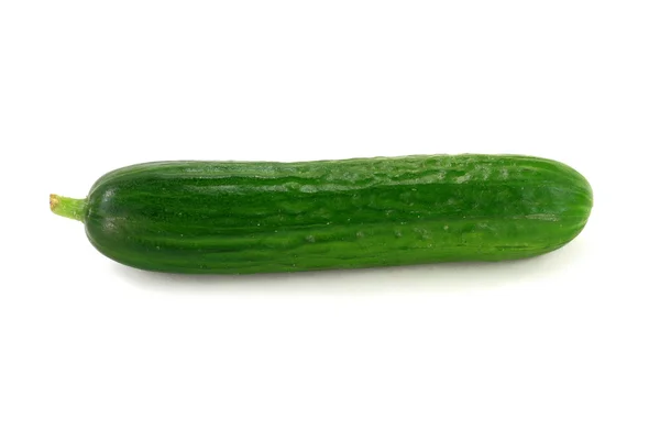 Single Baby Cucumber. — Stock Photo, Image