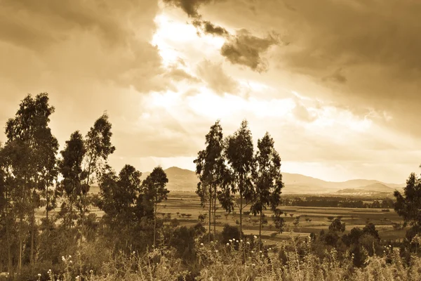 Äthiopische ländliche Landschaft — Stockfoto