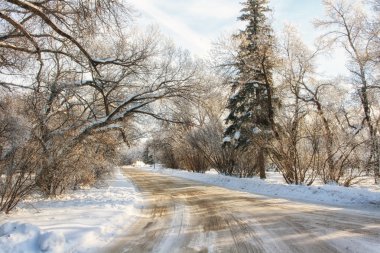 A snow covered road on a cold winter morning clipart