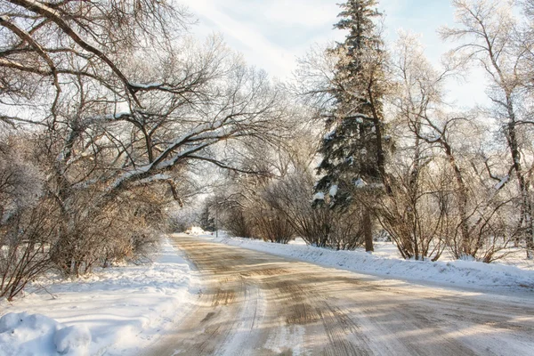 En snötäckta vägen på en kall vintermorgon — Stockfoto