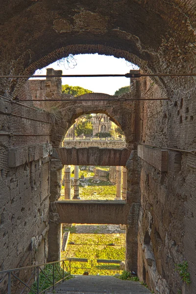प्राचीन रोम खंडहर — स्टॉक फ़ोटो, इमेज