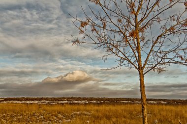 Saskatchewan manzara