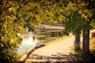 The walkway by the pond clipart