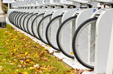 Row of Bicycle Wheels clipart