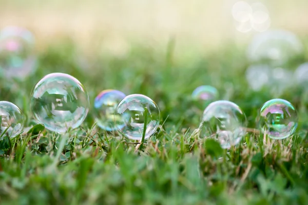 Soap-bubbles — Stock fotografie