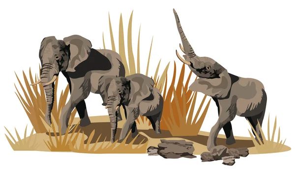 Éléphants sur Savannah — Image vectorielle