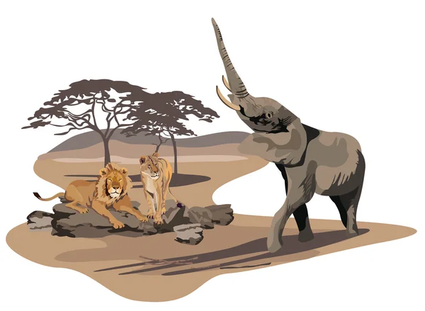 Elefant und Löwen in der Savanne — Stockvektor