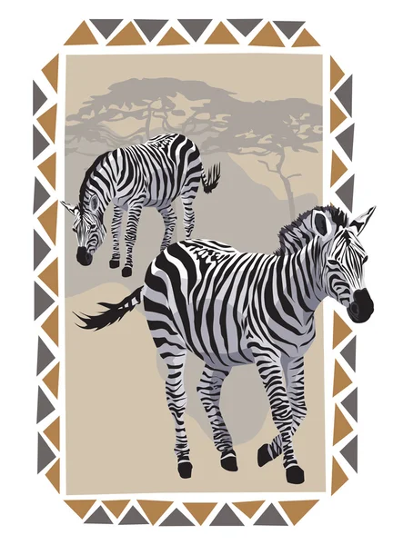 Zebras on Savannah — Stock Vector