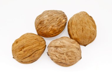 Walnuts isolated on a white background. clipart