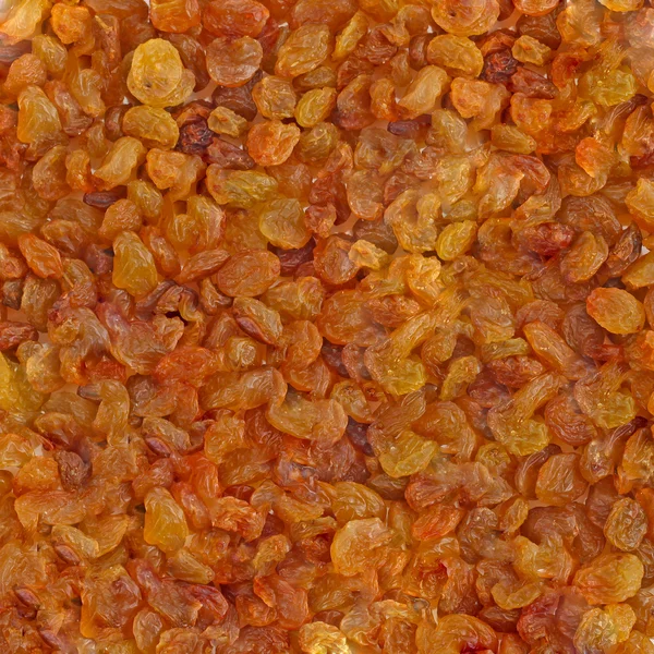 stock image Golden raisins background