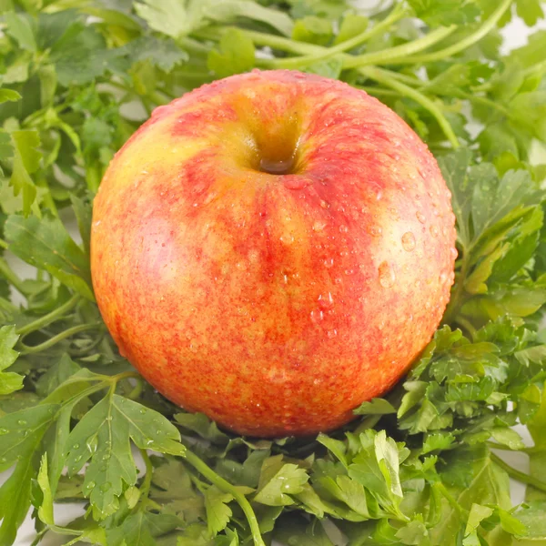 Roter Apfel mit Petersilie Hintergrund — Stockfoto
