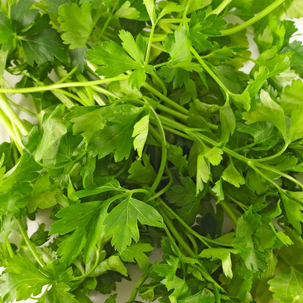 Parsley background — Stock Photo, Image