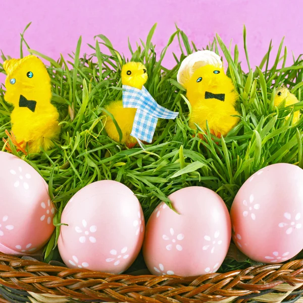 Beautiful easter basket with chicken and decorated eggs in green grass — Stock Photo, Image