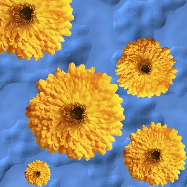 El fondo azul elegante abstracto con flores amarillas a —  Fotos de Stock