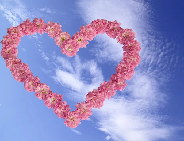 Καρδιά από ροζ τριαντάφυλλα κατά το γαλάζιο του ουρανού — Φωτογραφία Αρχείου