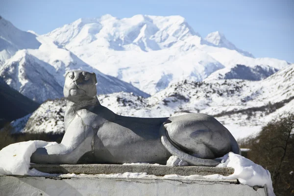 Uma pedra velho leopardo contra neve alta montanha — Fotografia de Stock