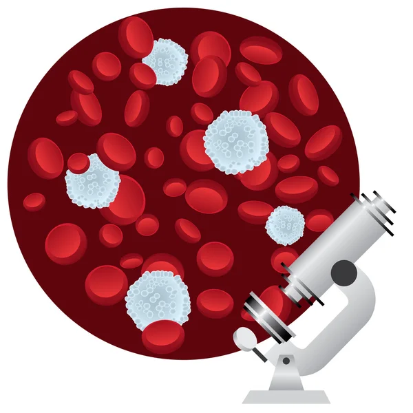 Cellules sanguines . — Image vectorielle