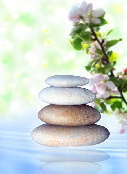 Spa stones and a branch of apple blossom — Stock Photo, Image