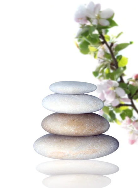 Spa stones and apple blossom — Stock Photo, Image