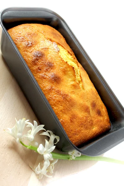 바닐라 케이크 — 스톡 사진