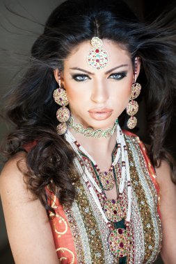 Beautiful Indian Bride clipart