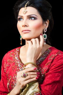 Portrait of a beautiful Indian bride clipart