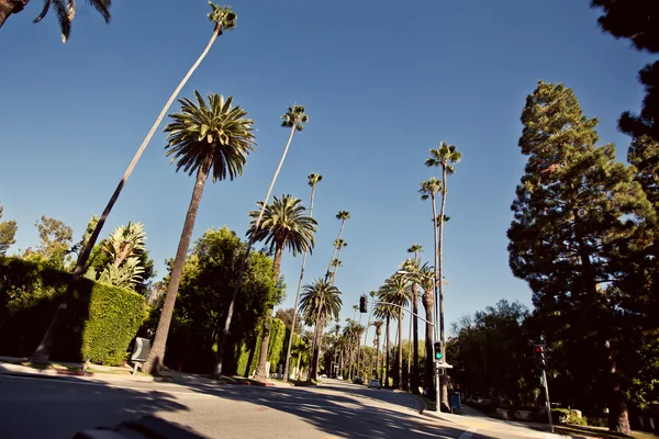 Palm streets of Beverly Hills — Stock Photo, Image