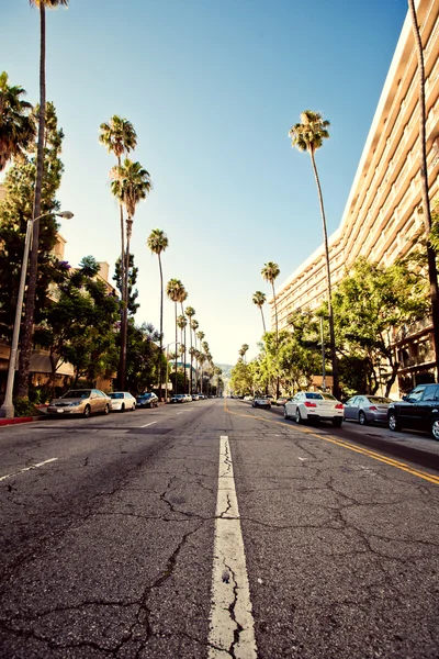 Palm straten van beverly hills — Stockfoto