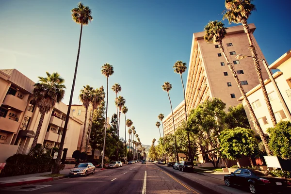 Beverly hills sokaklarında Palm — Stok fotoğraf