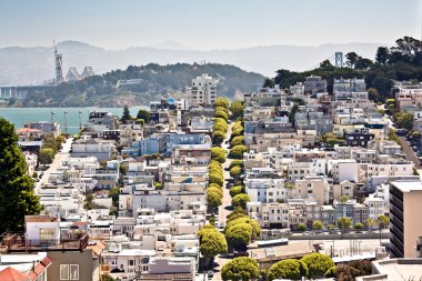 Lombard Street, San Francisco clipart