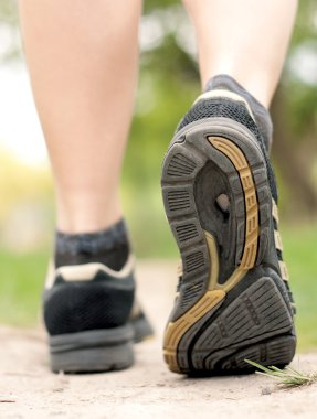 Woman walking on hiking trail in forest clipart