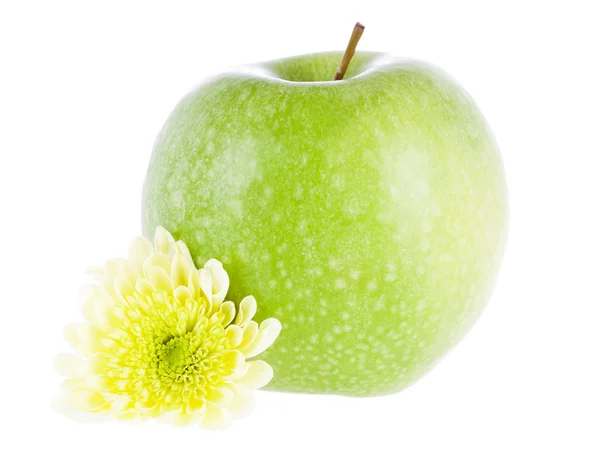 Manzana verde y flor — Foto de Stock