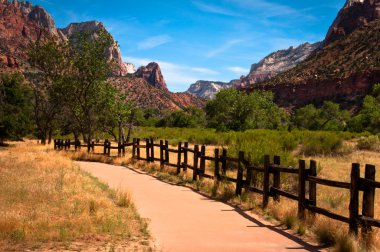 Zion national park