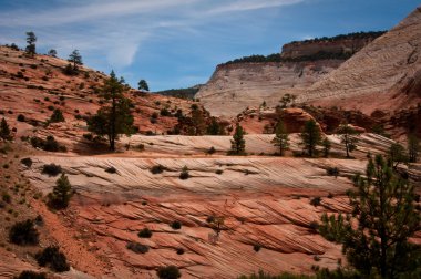 Zion national park