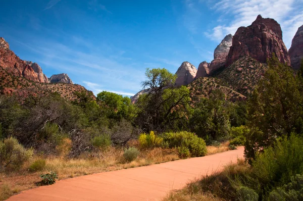 Zion national park