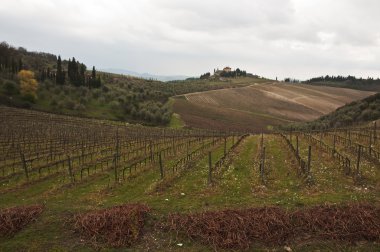 Chianti