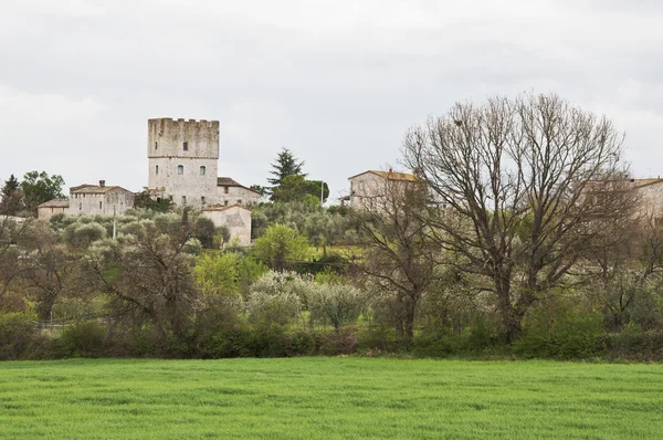 Castillo toscano — Foto de Stock