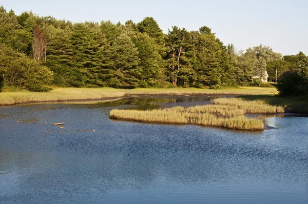 stock image American Lake