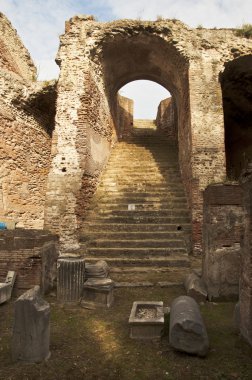 Roma amfi