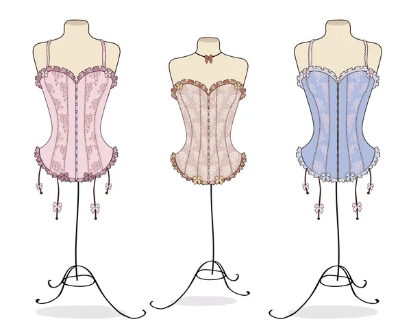 Variety of sexy vintage corsets — Stock Vector